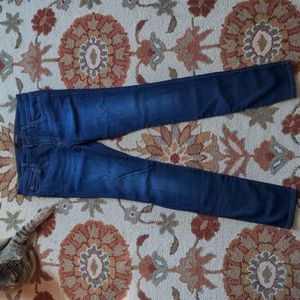 Joe's Jeans Aimi Mid Rise Skinny Jeans